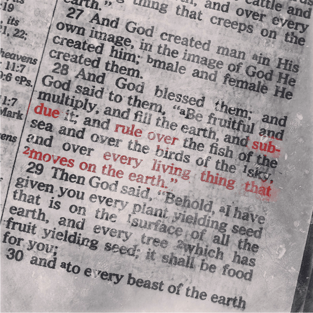 A photo taken of Genesis 1:28 in the Christian Bible with several words glowing red. Photo: John Biewen. Edit: Mara Guevarra.